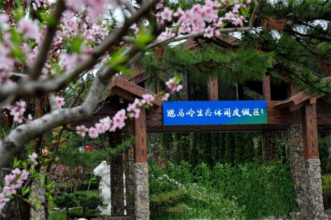 圖片6