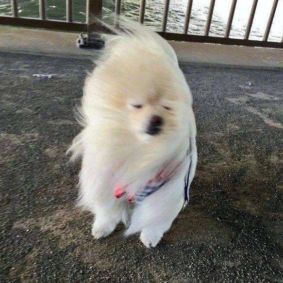 "热风"组合本周到访济南!