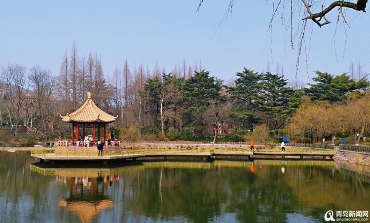 青岛景区稳步"重启"中山公园单日游客量破万