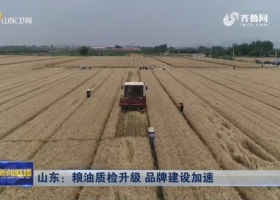 【山东新闻联播】 山东:粮油质检升级 品牌建设加速 【山东新闻联播】 山东:粮油质检升级 品牌建设加速
