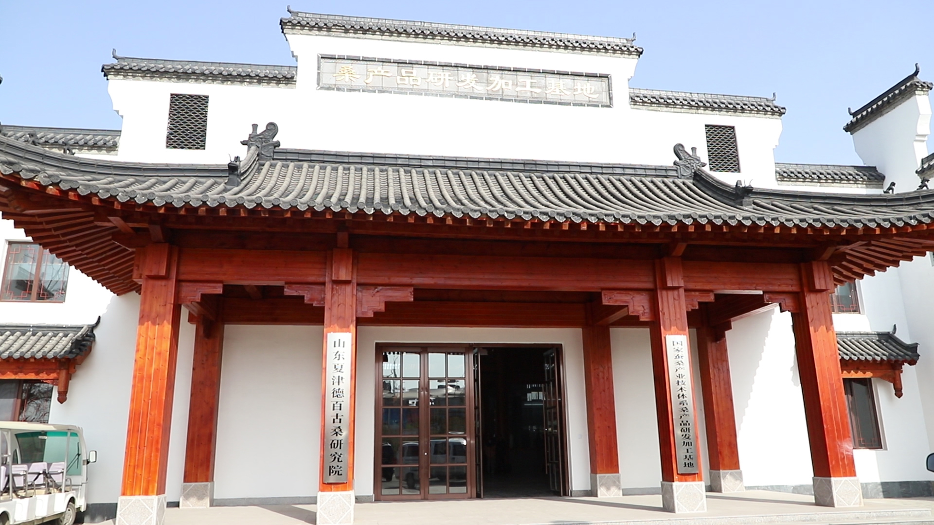 古桑树打造"黄金"产业链 夏津德百古桑产业研究院试生产