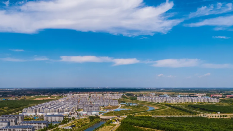 博兴县吕艺镇:"院校馆基地"四位一体,打造乡村振兴干部培训新路径