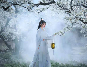 陽信：梨花帶雨迎客來