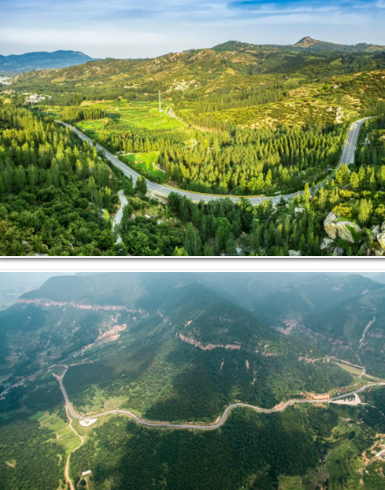 央视《晚间新闻》点赞沂南,是因为……_县域新闻_临沂_齐鲁网