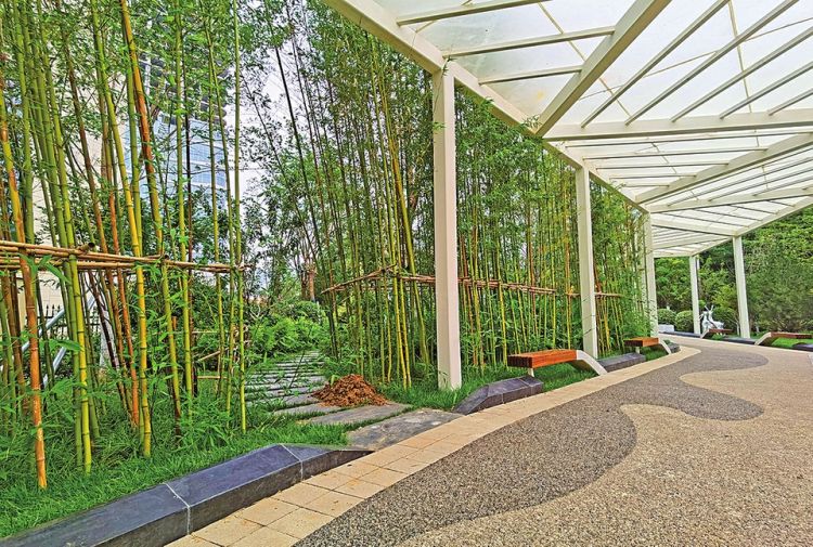 济南:口袋公园 幸福风景