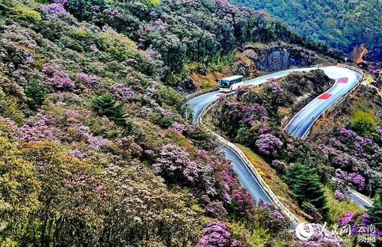 轎子山保護區風景。郭明海攝