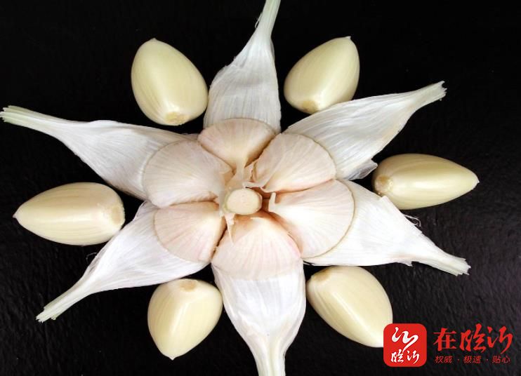 一颗蒜头誉满全球 苍山大蒜打响致富"金算盘"_临沂民生_临沂_齐鲁网