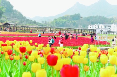 傳承弘揚“浦江經驗” 推進基層治理現代化