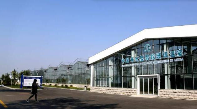 “小”身板 “大”力量