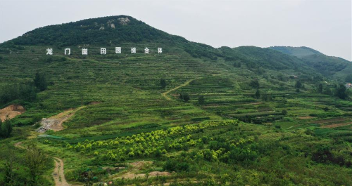 职称通向田野 专业赋能振兴