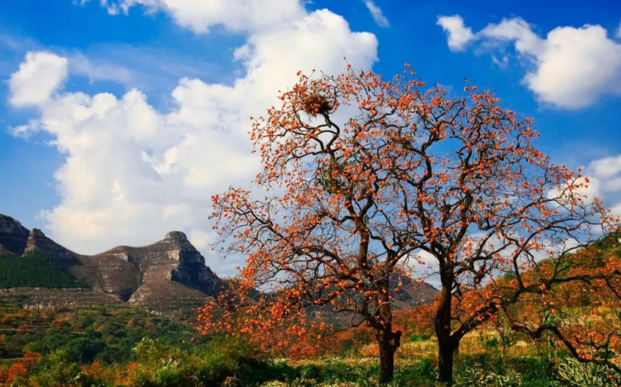 中国县域经济观察③：特