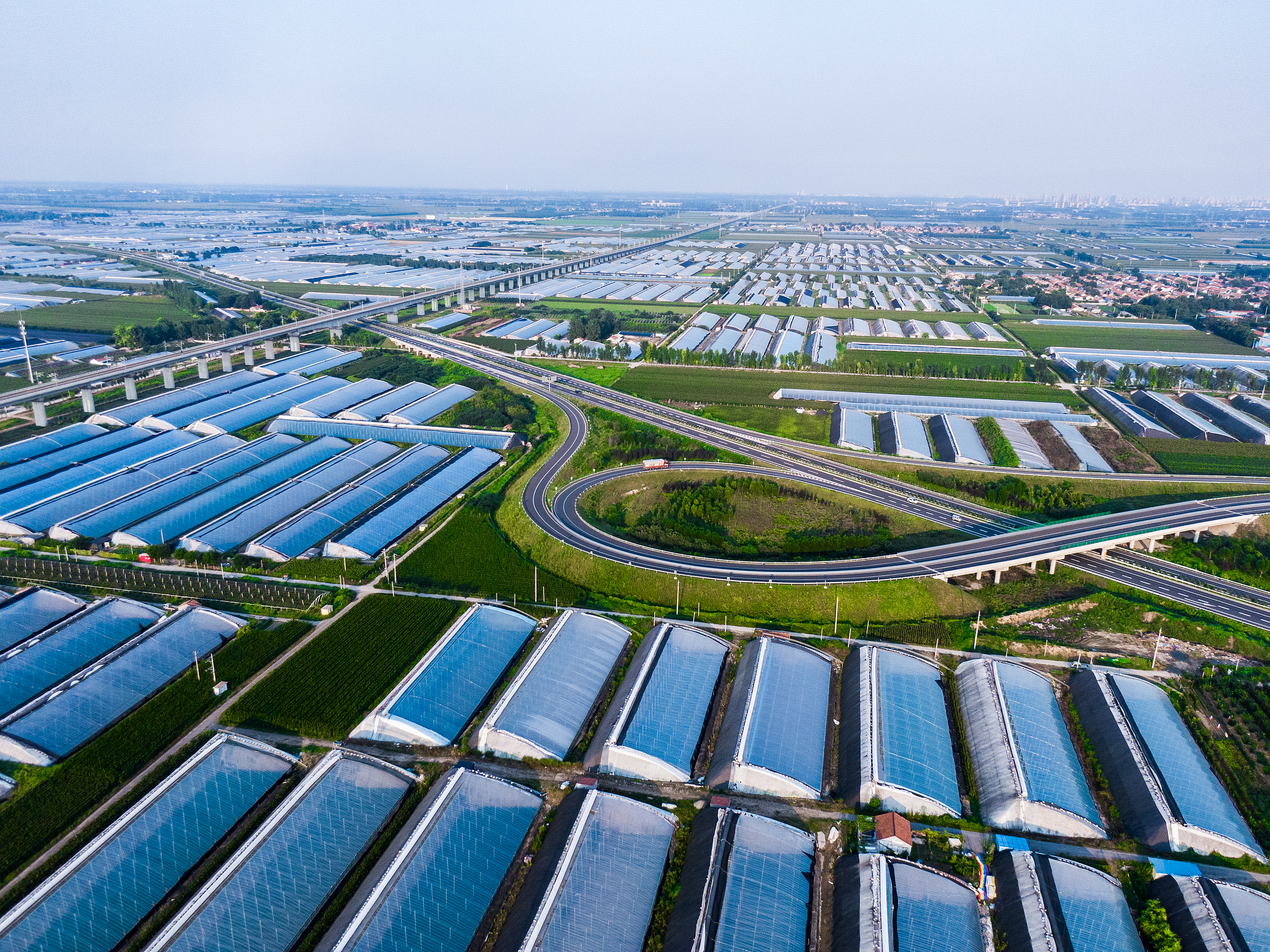 守沃土方寸之地 筑发展长远之基