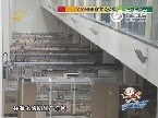 2013年12月21日《校园金话筒》