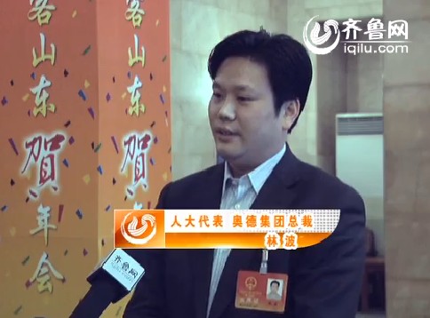 访人大代表林波:努力尽快实现"气化临沂"目标