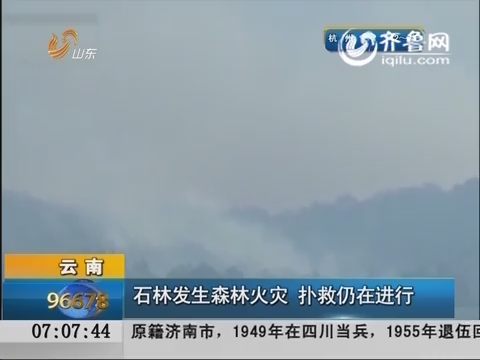 云南：石林发生森林火灾 扑救仍在进行